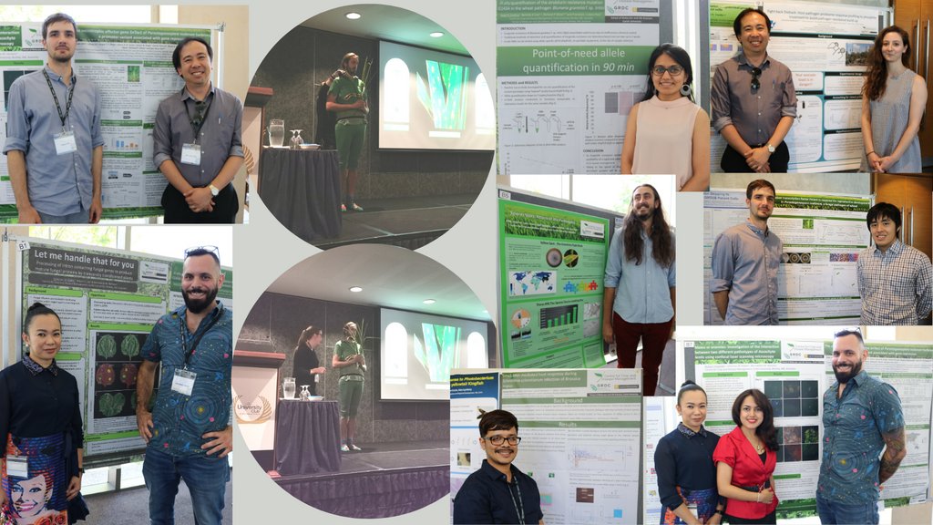 CCDM (@theccdm) on Twitter photo We were out in force at <a href="/CBSM_WA/">Combined Biological Sciences Meeting π¦π¬π§¬πΏ</a> with some awesome posters showcasing <a href="/theCCDM/">CCDM</a>'s work. Our own Silke Jacques's talk was a big hit with a life size 'wheat' sample (courtesy of researcher Kofi) & puppet show - a fun twist to explain the complex science behind wheat fungal pathogens We were out in force at <a href="/CBSM_WA/">Combined Biological Sciences Meeting π¦π¬π§¬πΏ</a> with some awesome posters showcasing <a href="/theCCDM/">CCDM</a>'s work. Our own Silke Jacques's talk was a big hit with a life size 'wheat' sample (courtesy of researcher Kofi) & puppet show - a fun twist to explain the complex science behind wheat fungal pathogens