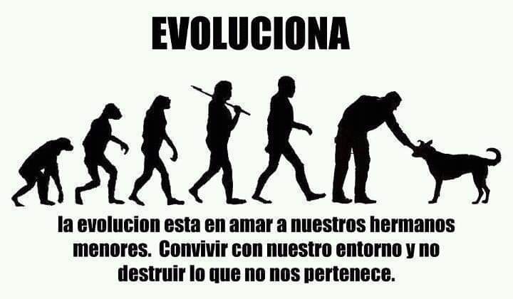 cesar_macotela's tweet photo. ¡Evoluciona! ¡No al maltrato animal!
#NoAlMaltratoAnimal #Vegan #GoVegan #AnimalRights #RespectTheAnimals #Animalist https://t.co/ULkolVnpdI