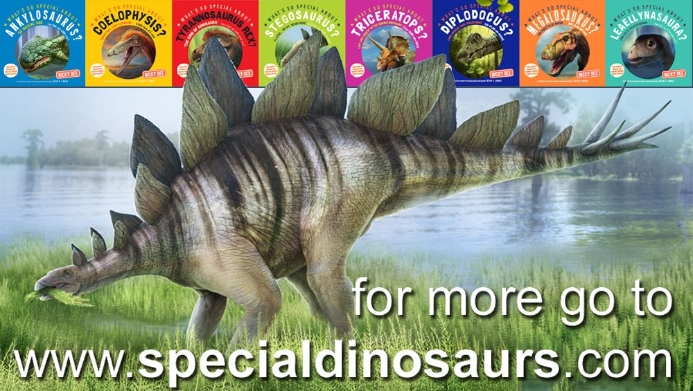 Stegosaurus:  tiny 1 cm high leaf-shaped teeth