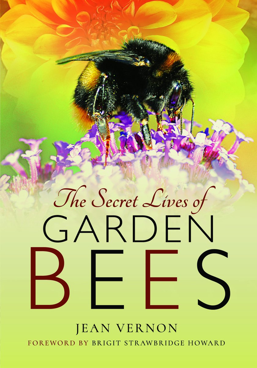 Thank you everyone for your kind messages! Overwhelmed to have won the <a href="/GdnMediaGuild/">Garden Media Guild</a> Beth Chatto Environmental award for my #bee feature in <a href="/TeleGardening/">Telegraph Gardening</a>. Based on my #beebook #TheSecretLivesofGardenBees #gmgawards Author signed copies from my website. addictedtobees.com🐝