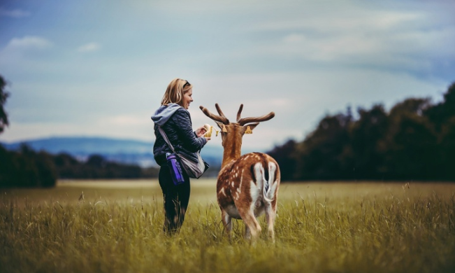SimpleFlask's tweet photo. Ride in the redwood forest to experience fun that is completely different from the modern city.🦌🌲#forest #waterbottle #travelling https://t.co/jzHjUXCfYl