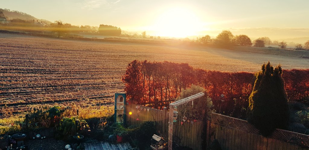JLewisCuro's tweet photo. Happy frosty Friday @Curo_Group https://t.co/t2xC1WpLbB