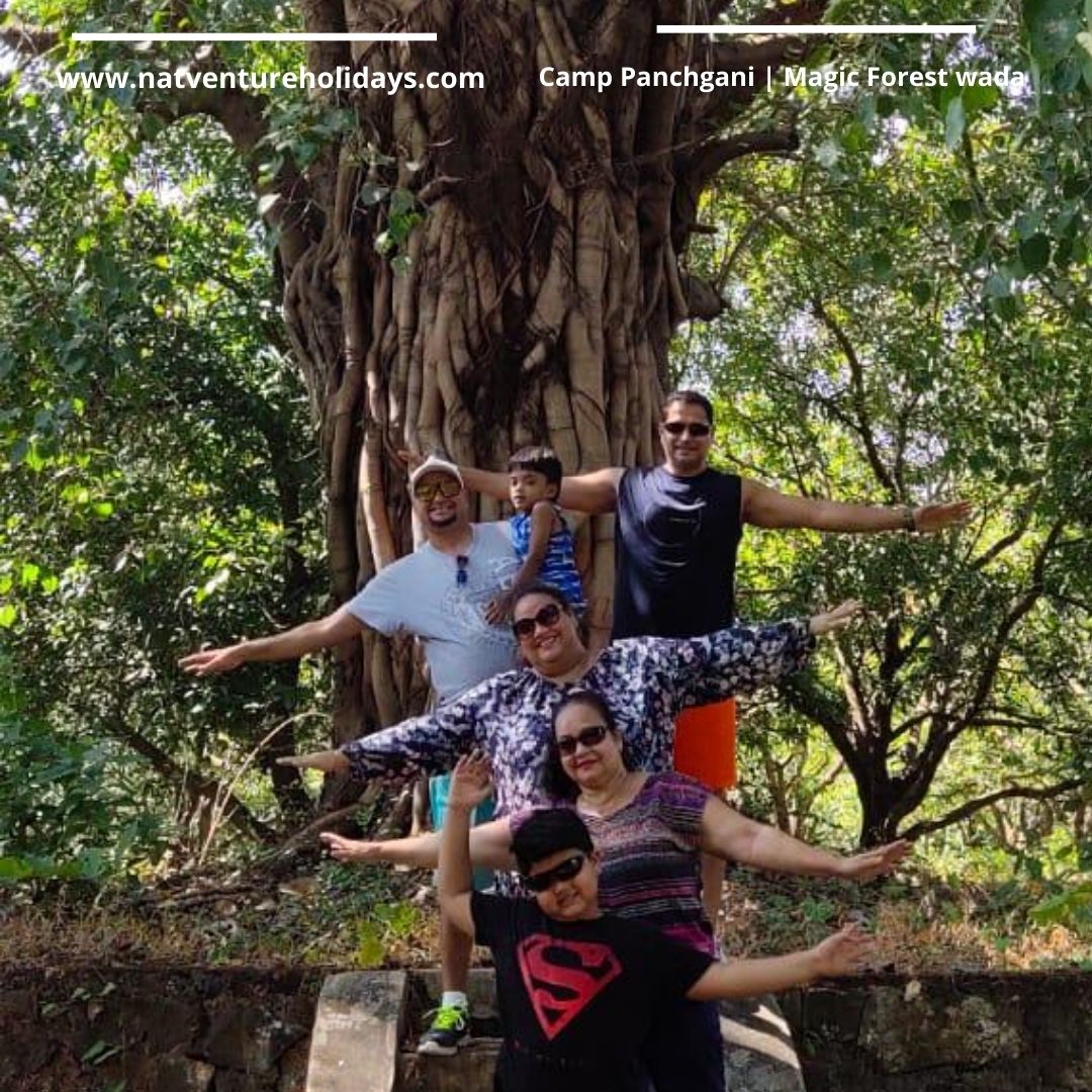 NatventureH's tweet photo. Peepal Tree - The ageless Peepal Tree at Magic Forest, Vikramgarh, Wada has stood witness to the legacy and philosophy of Natventure - of promoting Nature and Eco Tourism in and around Sayadaris.
Ihttps://www.facebook.com/natventureholidays/posts/3725466724177180 https://t.co/d0QBjYsaVW