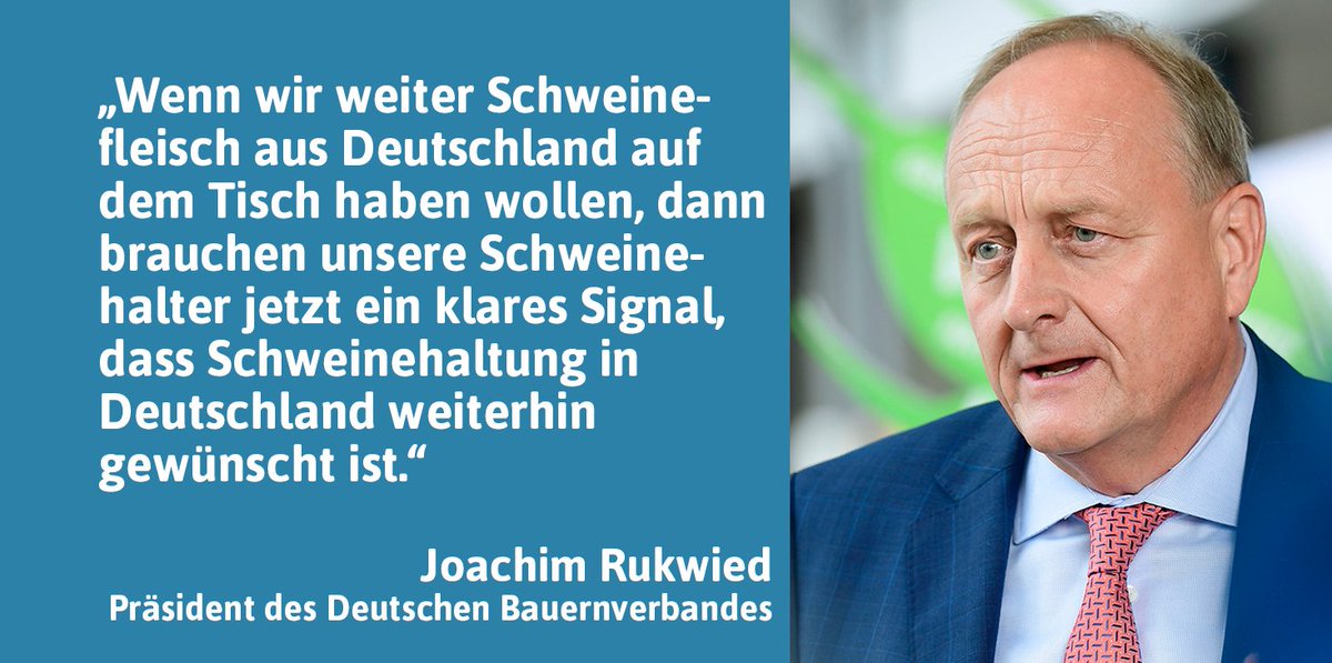 „Unsere Schweinhalter erleben derzeit die größte Krise seit Jahrzehnten. Alleine können die Bauern diese Krise nicht schultern.“ Rukwied fordert Politik auf, dringend Maßnahmen zu ergreifen, um weiteren Strukturbruch in Schweinehaltung zu verhindern Mehr: bit.ly/3q6XhG7