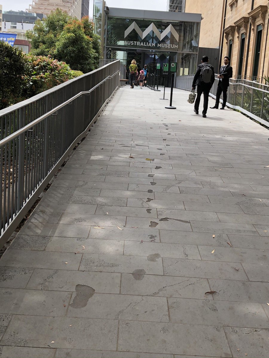 I love this story so very much for a few reasons:1. The journey with the  @austmus starts even before you even enter. 2. There is curiosity and wonderment of a running child.3. We are walking with our ancestors. Seriously, there’s a lot of  #AllTheFeels.  #AuReopening 5/n