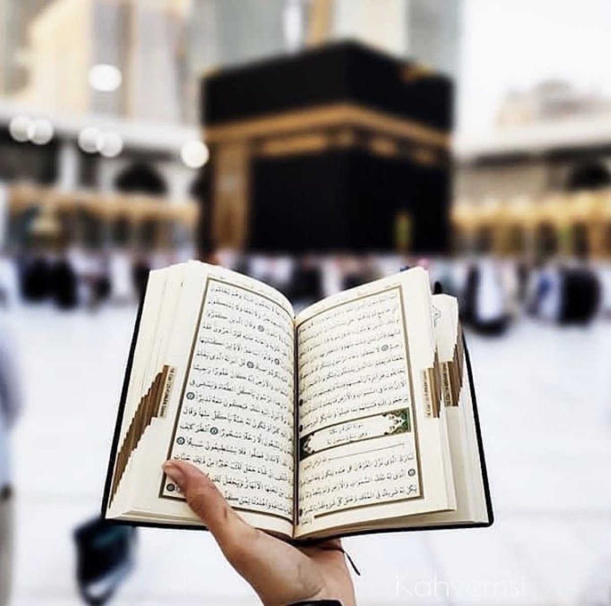 محمد البقممي.. (@mmohammd911) on Twitter photo 