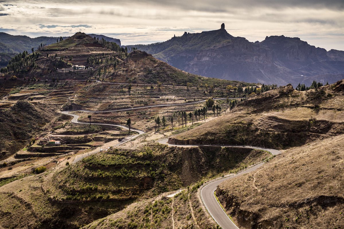 CERA_RFEdA's tweet image. 📌 4️⃣4️⃣ @RIslasCanarias 🇮🇨 
🗺 ITINERARIO (hora canaria)
🗓 1ª Etapa
📟 99,69 km 
⠀
⏱1️⃣ 10h29
⏱2️⃣ 10h41 
⏱3️⃣ 11h13
⏱4️⃣ 11h35 
⠀
🚗🚙 20m

🛠 A 30m
⠀
⏱5️⃣ 14h54 
⏱6️⃣ 15h16 
⏱7️⃣ 15h48
⏱8️⃣ 16h10
⠀
🚗🚙 30m

⏱9️⃣ 18h33

🛠 B 45m
⠀
🔚 21h30 
⠀
#CERATerraMundis 🇪🇸