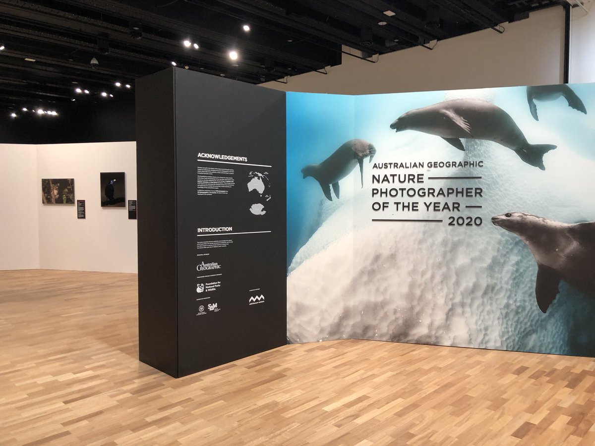 At the moment, the  @ausgeo Nature Photographer of the Year exhibit is on display! Be sure to check it out!!  #AUReopening 9/n