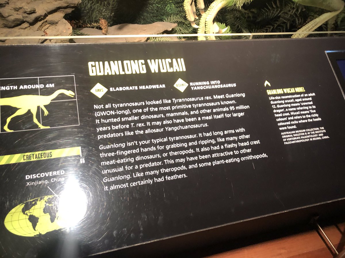 And, if you head downstairs, be prepared for an exhibit that is DYNOMITE! Fun Fact: the scientists of  @austmus have mapped the genome of Tyrannosaurus - I kid you not! Aussies are LEGENDARY!  #AUReopening 10/n