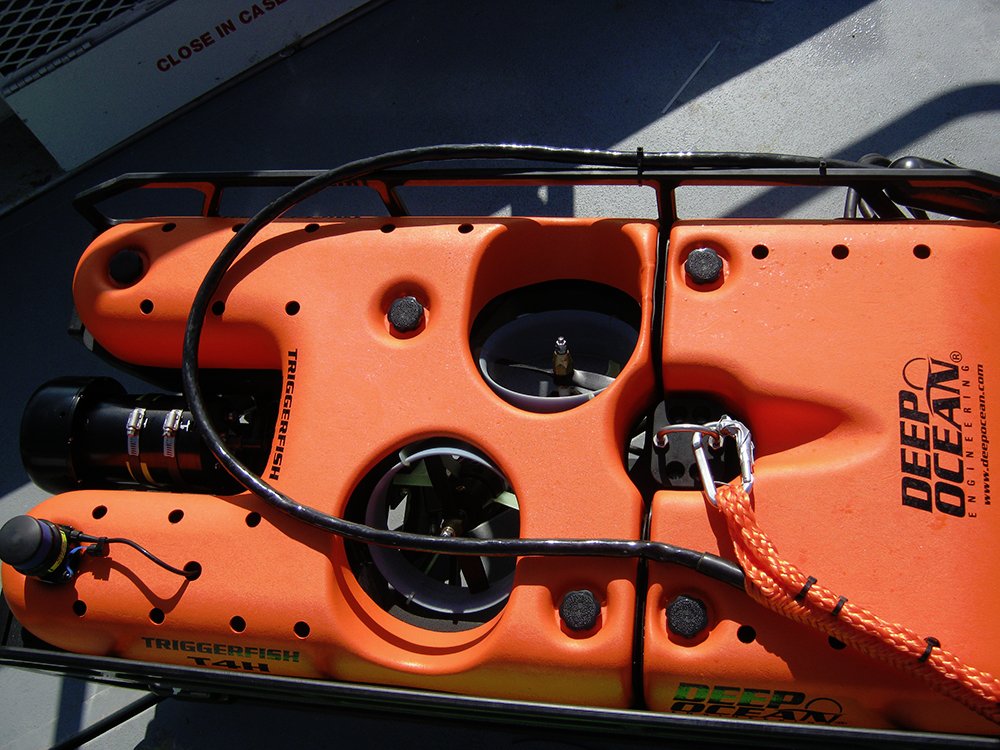 deep_ocean_inc's tweet photo. #ROVs have many applications in the field of #biodiversity management. The #Triggerfish T4H ROV is used by the Mississippi Department of #Marine Resources to manage their #reefs, covering a total of almost 16,000 acres.
#DOE #ROV #TriggerfishT4H #MDMR #BiodiversityManagement https://t.co/MJ7qhNe1mf