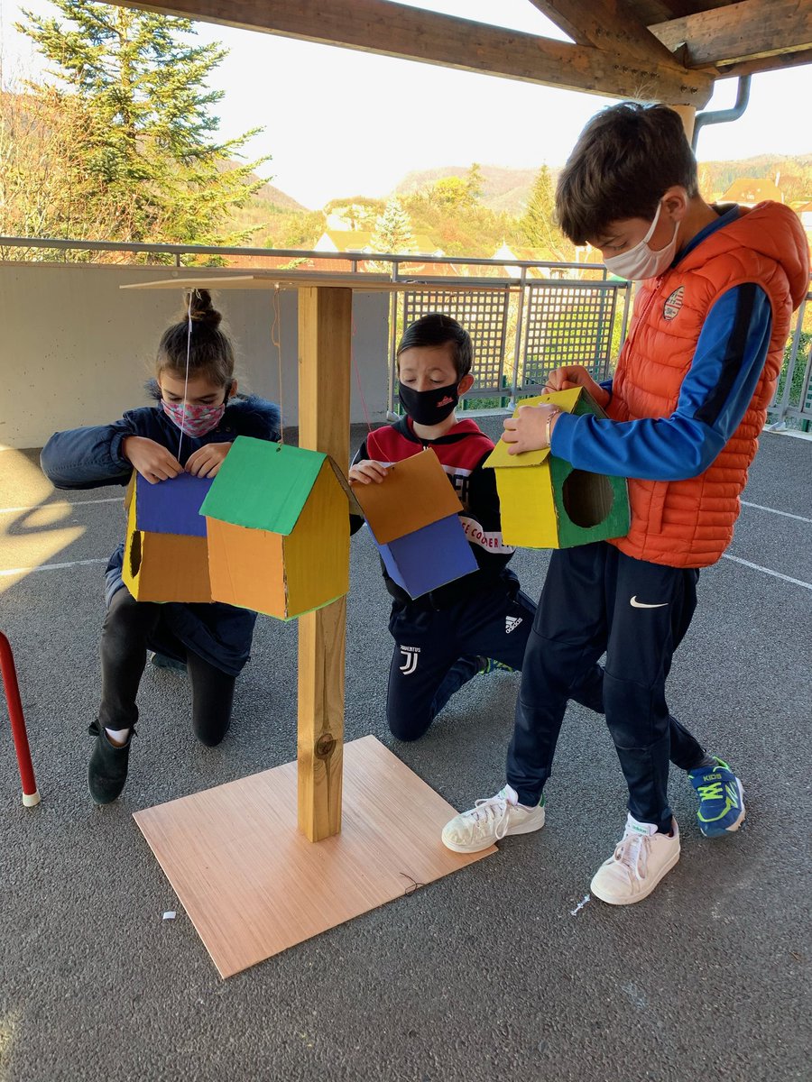 caroline0185's tweet photo. Nids suspendus et petit salon pour rongeurs, c'est la réalisation des enfants du groupe Juniors pour le challenge brico 2020 @LeoLagrange https://t.co/zEt41ri0SR