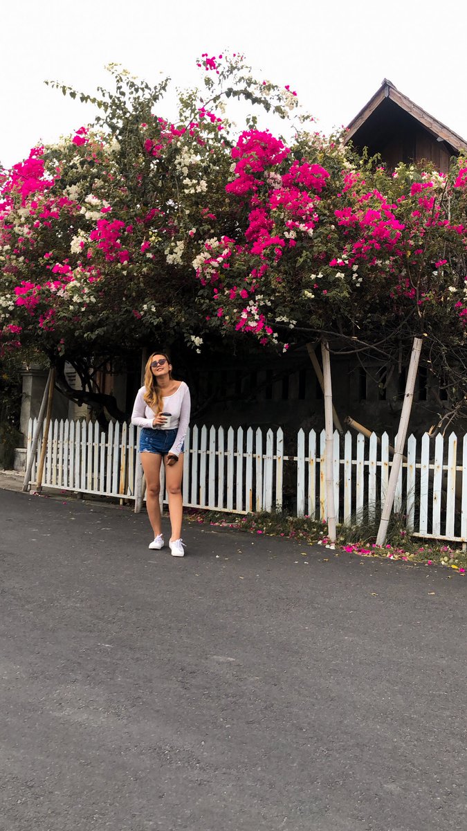 Bunga bunga tetangga.