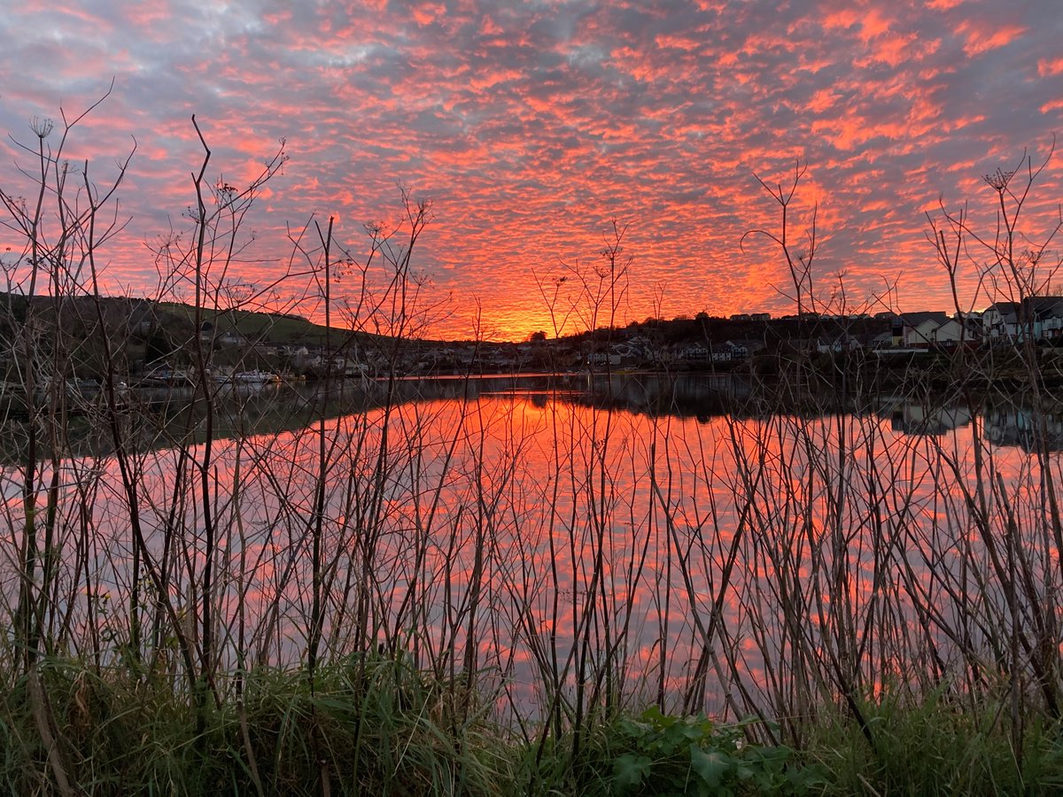 Gemstock tweet media