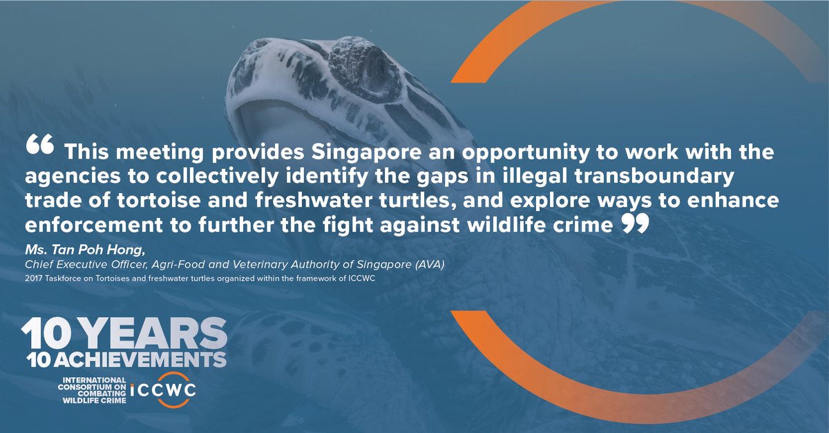UNODC_ENV's tweet photo. The CITES Tortoises & Freshwater Turtles taskforce was successful in building capacity, cooperation and coordination to better respond to #WildlifeCrime.
#ICCWC10years https://t.co/aiUIUq5IFI