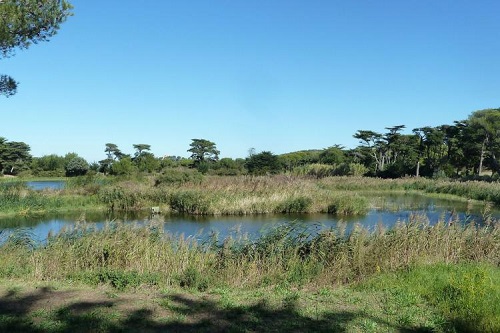 💧 Panorama français de la réutilisation des eaux usées traitées
▶ 3 questions à l'auteure de l'ouvrage sur les enjeux et points d'attention 
▶ 1 document du #Cerema pour les #CollTerr, entreprises et particuliers sur les démarches de #REUT 
#eau
cerema.fr/fr/actualites/…
