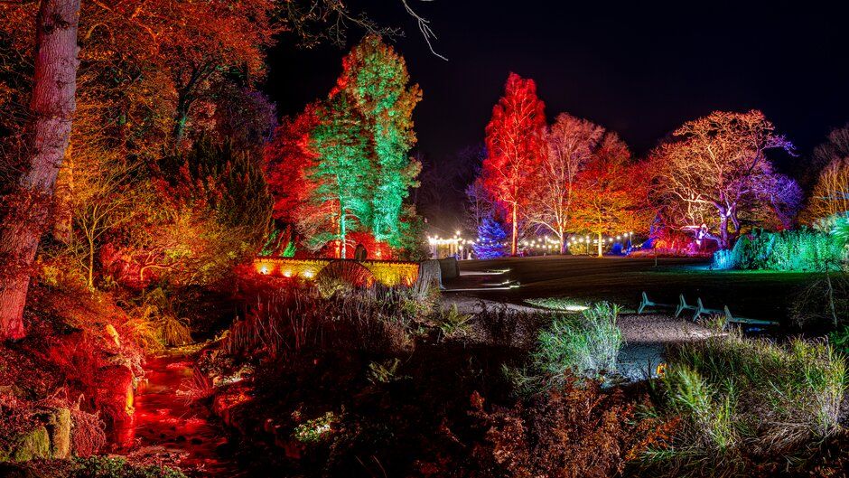 RHSHarlowCarr's tweet photo. **GLOW SOLD OUT**
A reminder that tickets for Glow, our outdoor illuminations walk at Harlow Carr are now SOLD OUT, please don’t try to call to book tickets.

Tickets must be booked online in advance. For further info, visit https://t.co/oTO6WARHDq 

#Glow2020 #RHSHarlowCarr https://t.co/lGWIy0jaO9