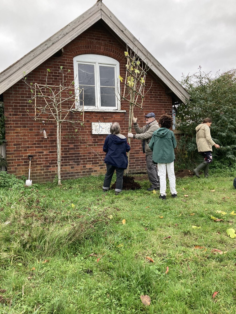 EnfieldOrchard's tweet photo. This Sunday at 11 we are meeting for our monthly volunteer session at the Orchard at Forty Hall Farm https://t.co/PHCFsRIq3C