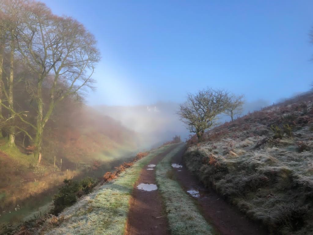 Lillycombe Sporting Club tweet media