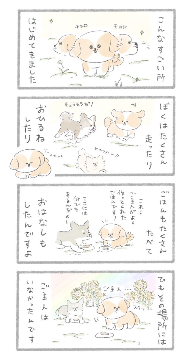 「虹の橋」のお話① 