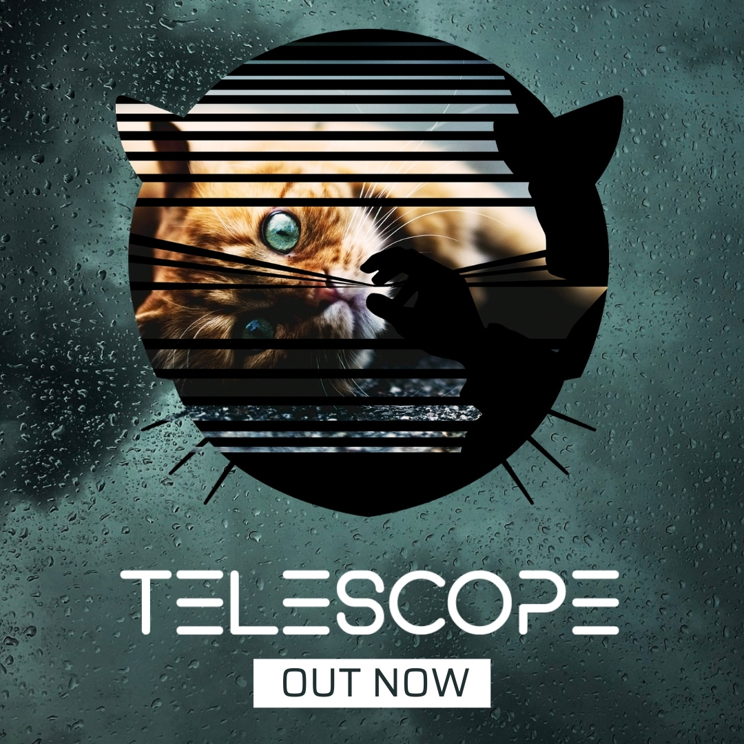 musetta's tweet photo. Our single "Telescope" is out now. A re-interpretation of Pino Donaggio's theme of Brian De Palma's 1984 classic "Body Double".

stream: https://t.co/dRUvcfkd1M https://t.co/G5j7n7LskA