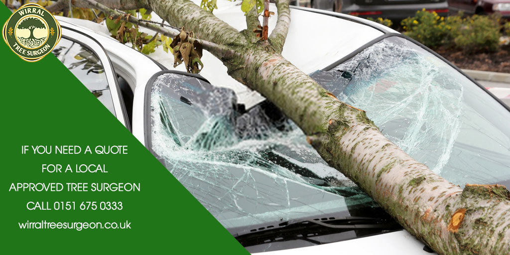 Wirral Tree Surgeon tweet media