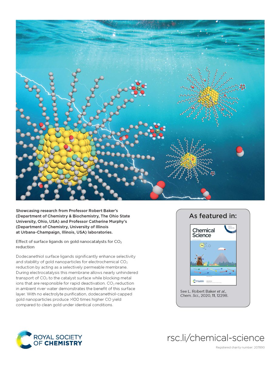 ChemicalScience's tweet image. Our back cover this week features &apos;Effect of surface ligands on gold nanocatalysts for CO2 reduction&apos; by  L. Robert Baker @OhioState, Catherine J. Murphy @Illinois_Alma et al. 😃🎉

Read it in full 👉 ow.ly/mkg850CvpLM
#ChemSciCovers