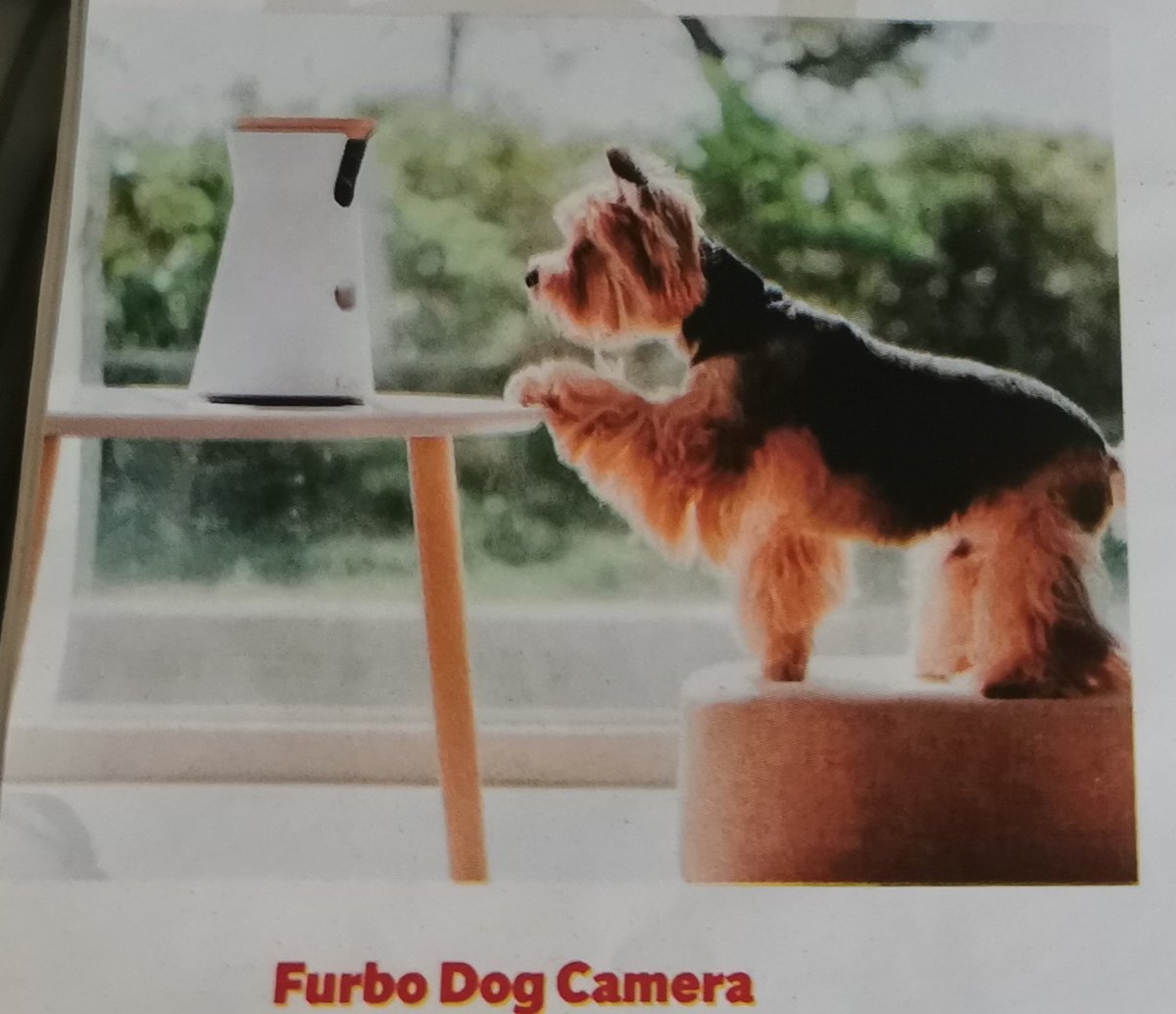 bairbrepower's tweet photo. Lots of inspirational ideas for gifting in #MISTLETOEMAG published free today with @Independent_ie. Fashion, food, tablescaping, candles, cocktails & cookies over 72 glossy pages. Let's 'paws' a moment to check out the doggie camera that also distributes treats when your outππ https://t.co/Q9SxAzurOY