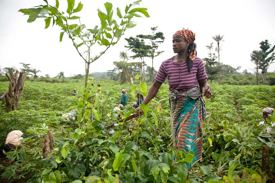 AfricanClimate's tweet photo. Happening now: @AfricanClimate hosting an Expert Group Meeting (EGM) on a #gender equality in climate change in #Africa analysis report to identify needed policies, programs &amp; NDC processes to bridge the gender gap @UNWomen @ECA_Official @_AfricanUnion @AfDB_Group @WMO @PACJA1 https://t.co/4el9NugXeE