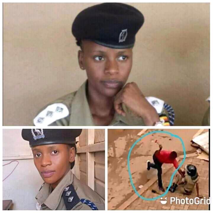 Gkats7's tweet photo. WHEN EVERYTHING GOES WRONG..its alledged that this is the police officer who was attacked with a hammer.The incident took place during the recent riots.
WE SHOULD BE #strongandkind
Please--- not violent⚘🙇
#myview👀
..borrowed. https://t.co/xjPmpZIf0e