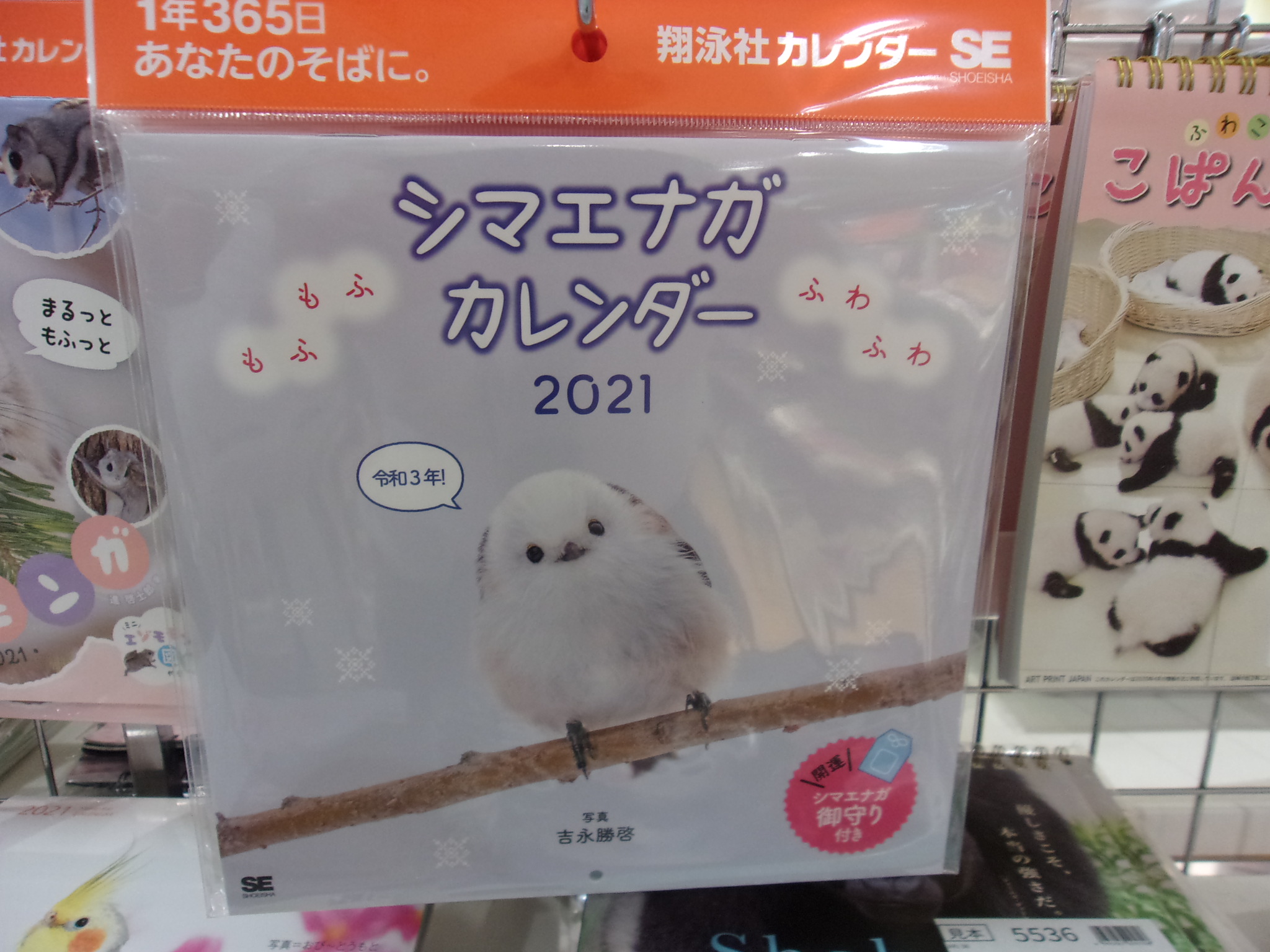 تويتر 大宮三省堂書店 على تويتر 当店の21年おすすめのカレンダーは もふもふふわふわシマエナガ カレンダー 21 です とにかく 毎月毎月 どのシマエナガもかわいいです 来年もずっーとかわいいです シマエナガ 翔泳社 T Co Sfs8ic1y