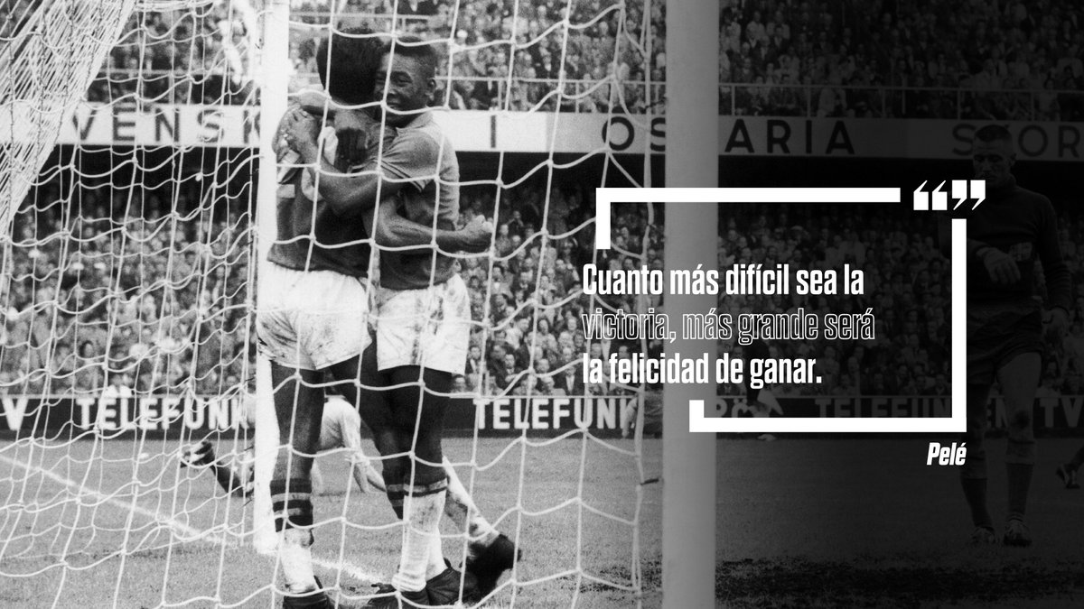 SomosDeporte's tweet photo. 👇👇 https://t.co/gqA4JGaVqN