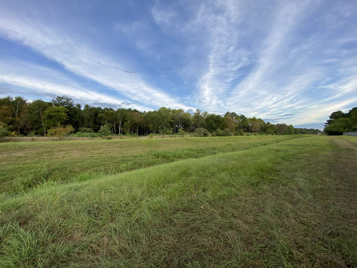 Social Park - TX tweet media