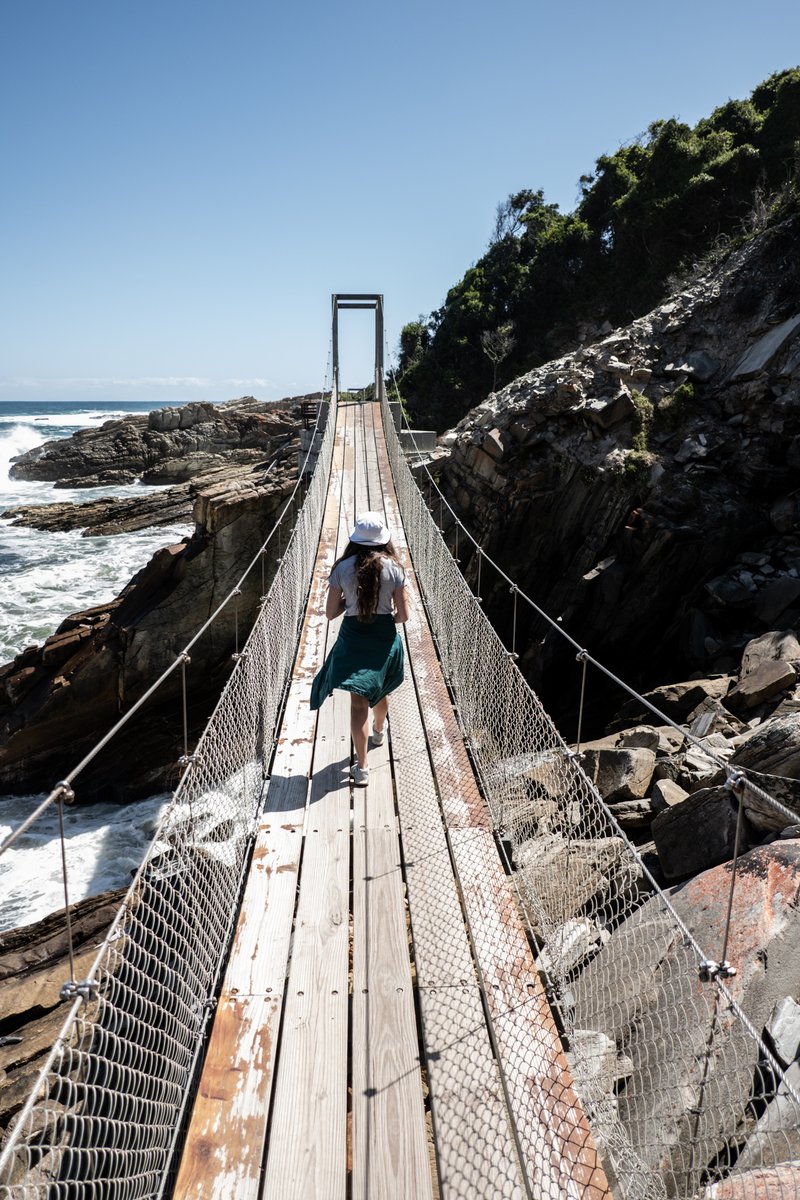 Backpacking South Africa tweet media