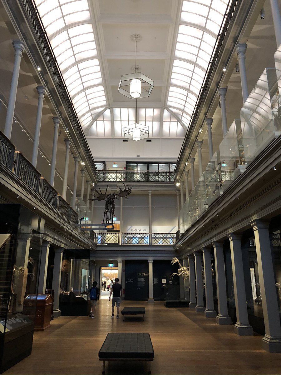 This hall is the first gallery in Australia and it is gorgeous. It hosts all priceless treasures. #AUReopening 25/n