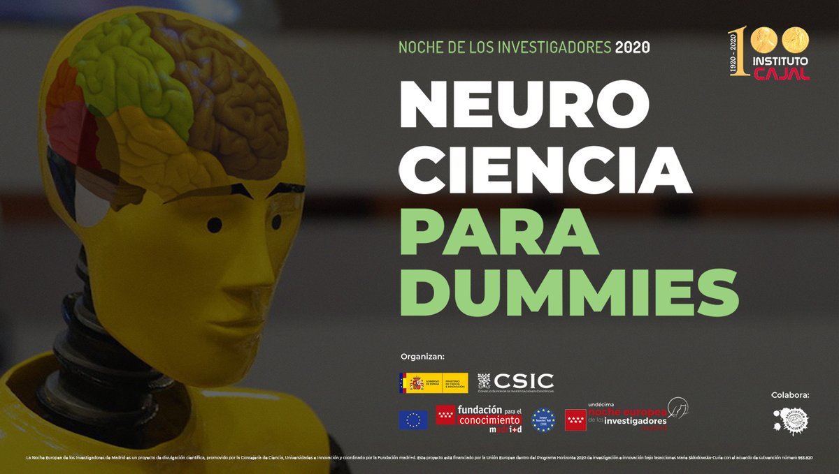 Hoy a las 17h, no te pierdas nuestra charla "Neurociencia para Dummies". En streaming a través del canal de YouTube del @InstitutoCajal bit.do/institutocajal
#NocheEuropeaInvestigadores #NIGHTspain #NIGHTmadrid #EuropeanResearchersNight #MSCAnight