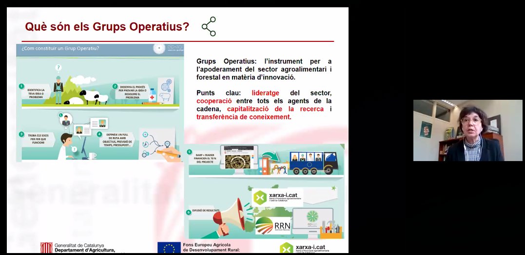 fcri_cat's tweet photo. 🗣️Maria Josep de Ribot, cap del Servei d'Innovació Agroalimentària, va presentar els #GrupsOperatius, uns #ajuts amb voluntat facilitadora de col·laboració entre l’entorn empresarial i acadèmic.
#PATT2020 #CafèRecercaFCRI https://t.co/yWTcsj6CnK