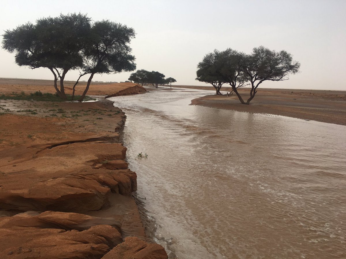 صور قديمة tweet media