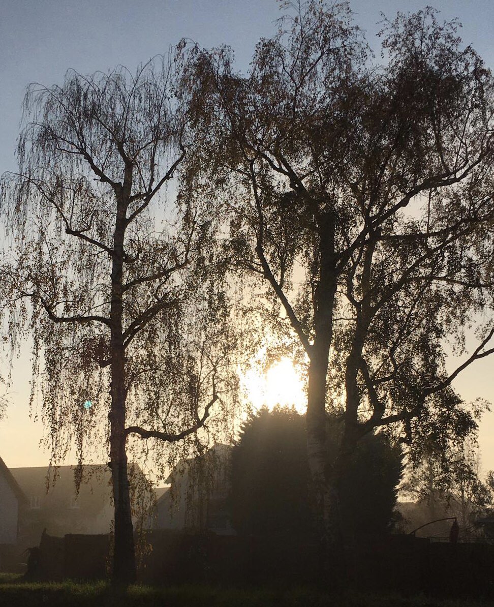 glaubeweiter's tweet photo. #November #Tiefstehende #Sonne ☀️am #Morgen #taucht alles in #goldenes #Licht So könnt ihr ins #Licht #laufen #radeln #walken!#dnkgtt 🎶“Christus, das Licht der Welt. Welch ein Grund zur Freude! In unser Dunkel kam er als ein Bruder. Wer ihm begegnet, der sieht auch den Vater.“🎶 https://t.co/75pE6rkppI