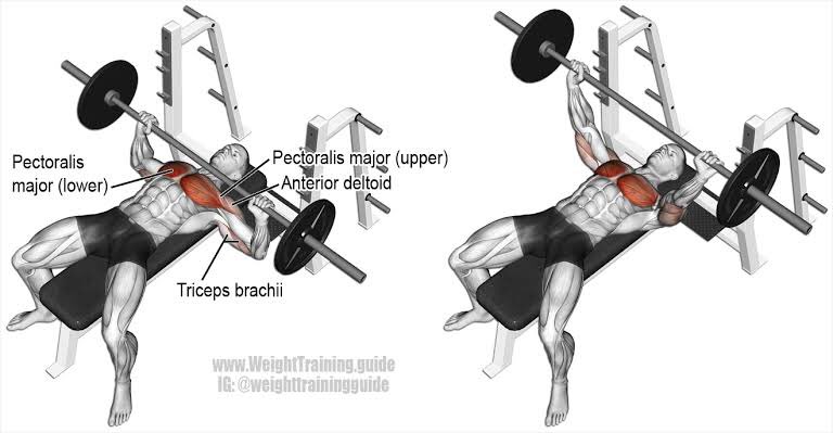 oke lanjut ke CHEST1. Bench press2. Incline bench press3. Decline bench press4. Dipssemua 3x12 repetisi