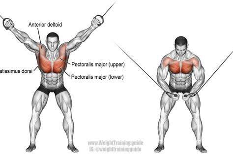 lanjut CHEST lagi1. seated pec fly machine2. high cable chest fly3. low cable chest flyketiganya 3x12 repetisi