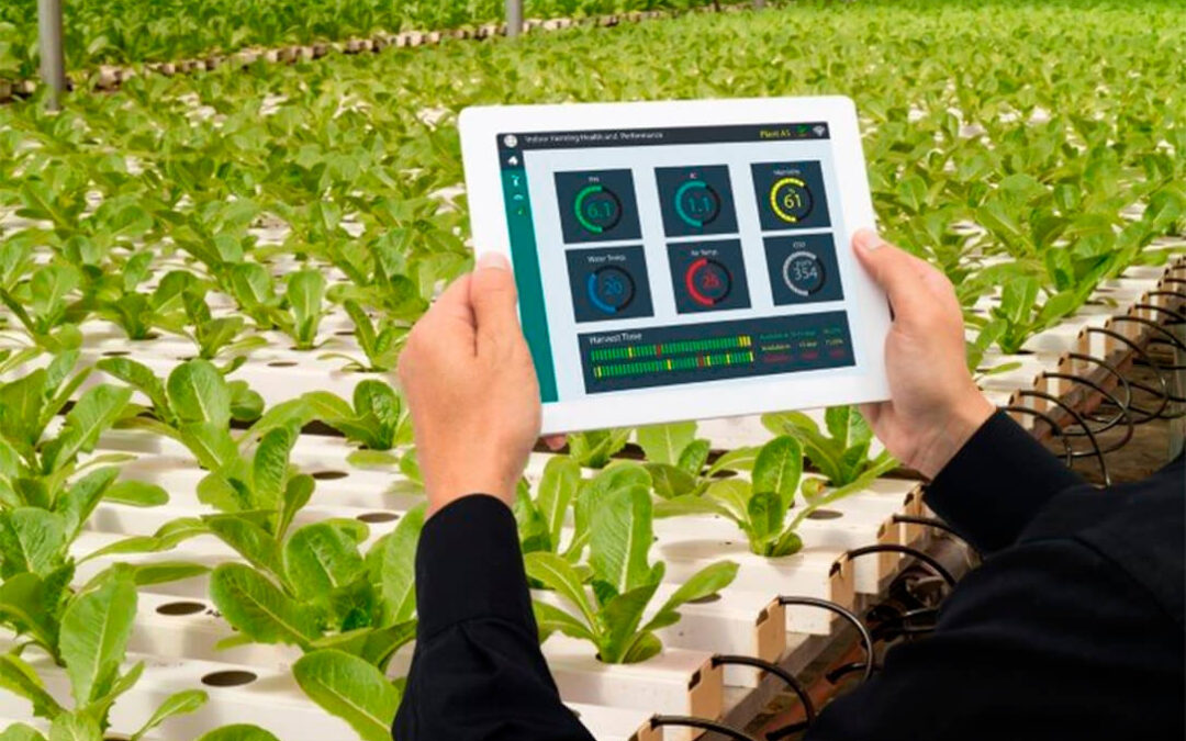 huerta_digital's tweet photo. La revolución tecnológica no es solo para agricultores, es para toda la cadena 📱👨‍🌾 @Agroinformacio | @ForoDatAgri - #DATAGRIVirtual20
🖱️ https://t.co/fAkhoPSm4q https://t.co/l4ZpqaGWH5