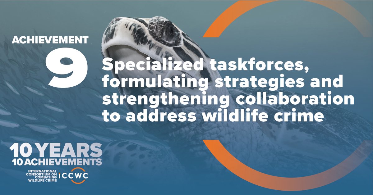 UNODC's tweet photo. #ICCWC convened and supported taskforces enabled building knowledge, enhancing information and intelligence-sharing, strengthening frontline cooperation and coordination across species specific #WildlifeCrime cases https://t.co/kkhRPhlJov #EndWildlifeCrime #ICCWC10years https://t.co/qaMCal7kdP