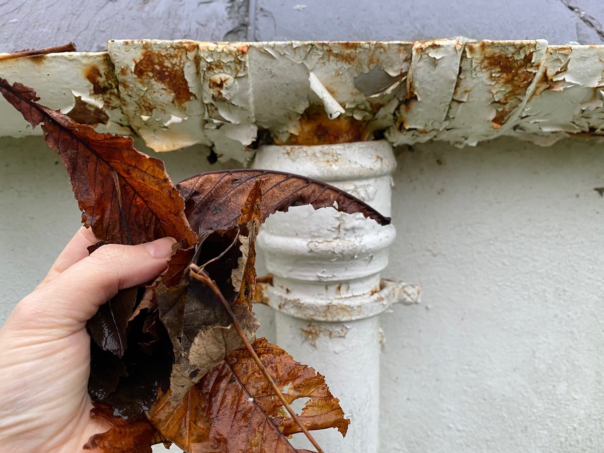 heritage_ni's tweet photo. **Tip 6: Love Your Gutters💧 - #MaintenanceWeekNI2020 #NationalGuttersDay #NationalGuttersDayNI**
It's National Gutters Day! If your gutters are not in good repair, water may be continually running down the facades of your building, and over time this can cause serious problems. https://t.co/oIjRE6YdOQ