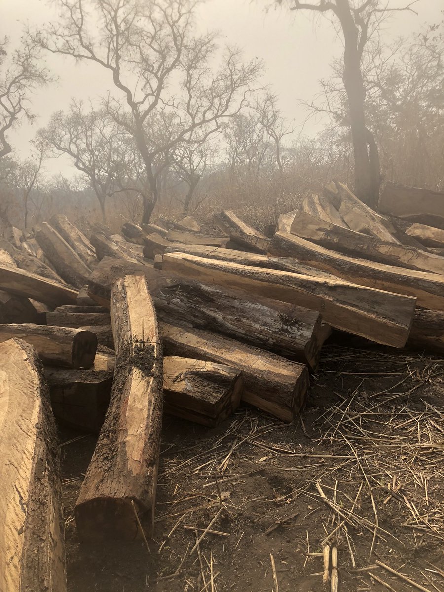 What Sierra Leone Govt is choosing vs what Sierra Leone is loosing