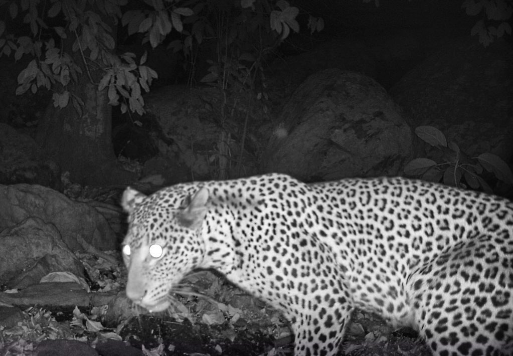 What Sierra Leone Govt is choosing vs what Sierra Leone is loosing