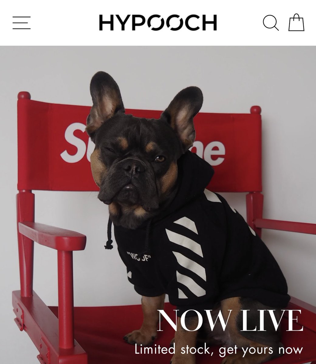 WE ARE LIVE
Hype your woofer &amp; keep them warm this winter:
HYPOOCH.com