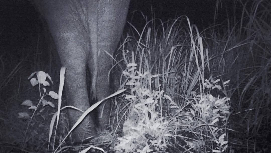 What the Sierra Leone govt is choosing vs what Sierra Leone is loosing