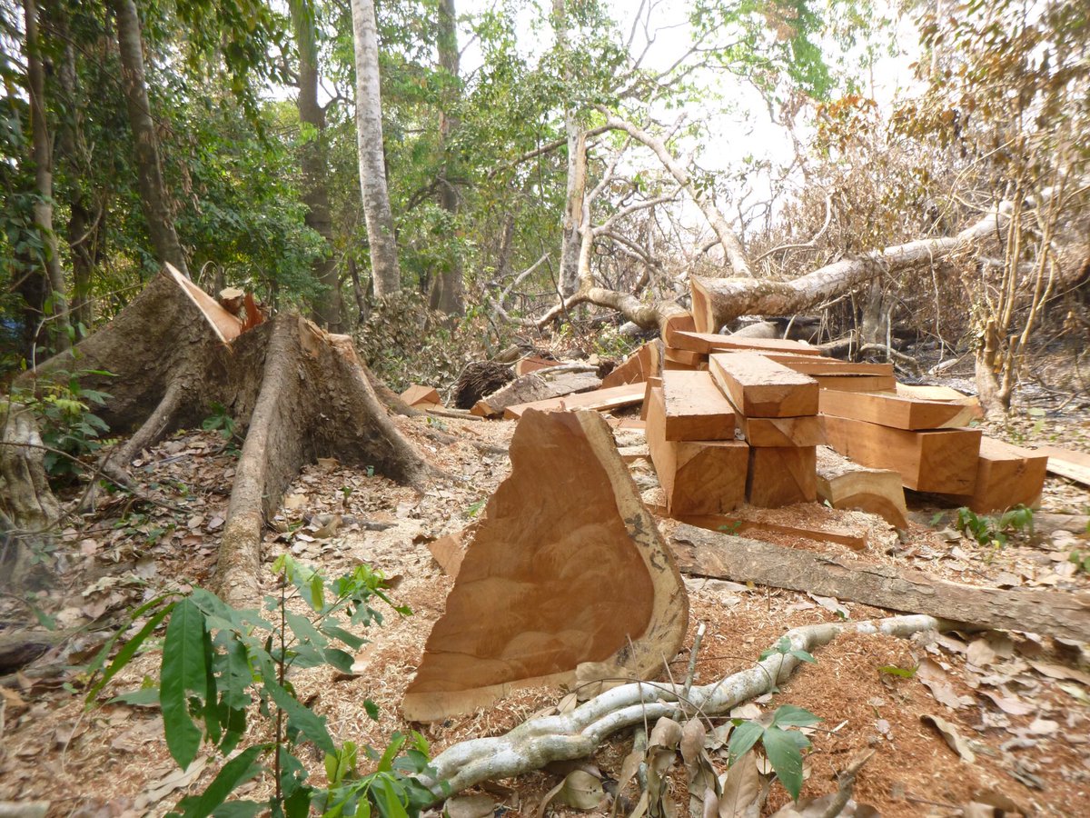 What the Sierra Leone govt is choosing vs what Sierra Leone is loosing