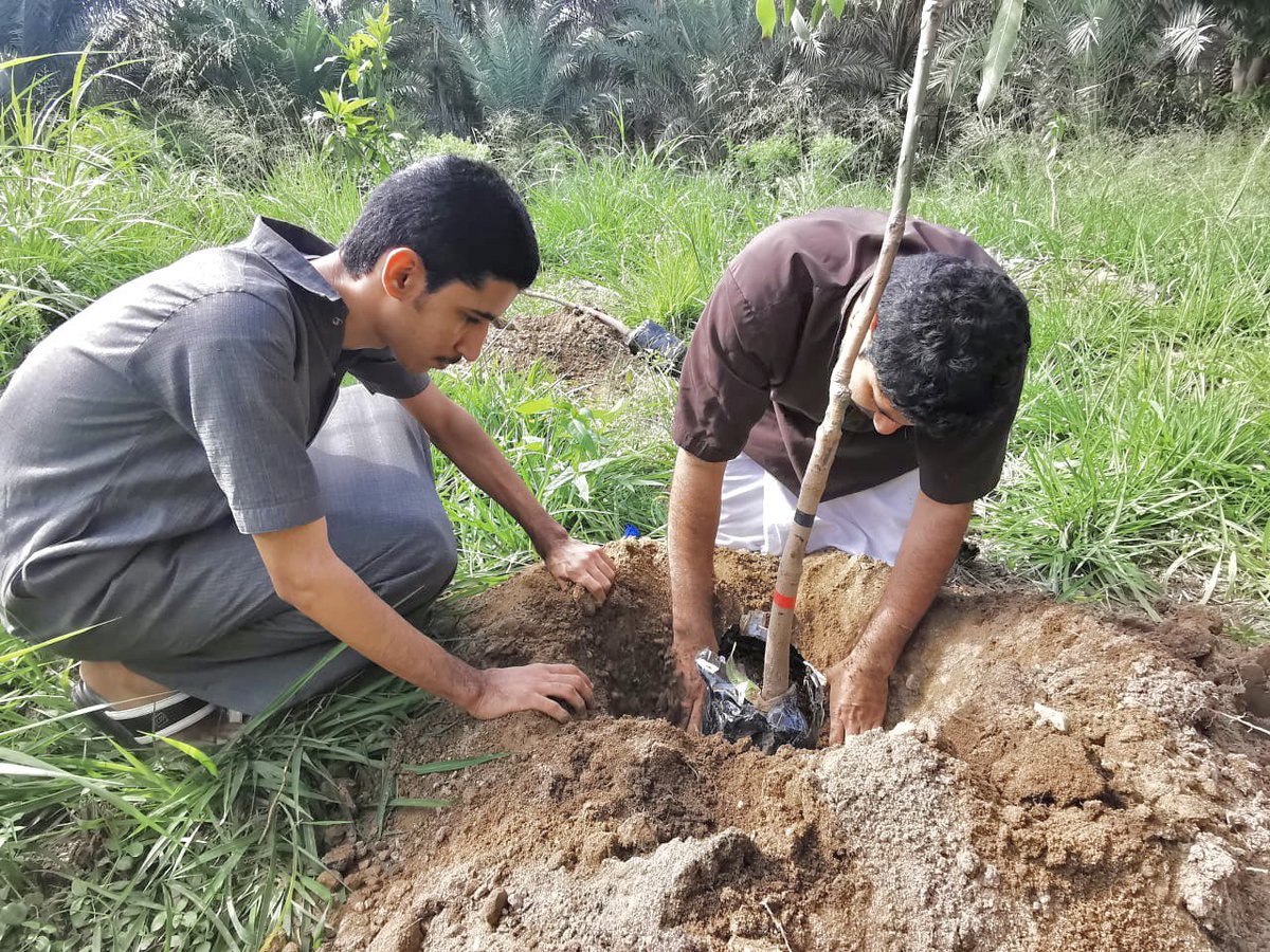 batsh1984 tweet media