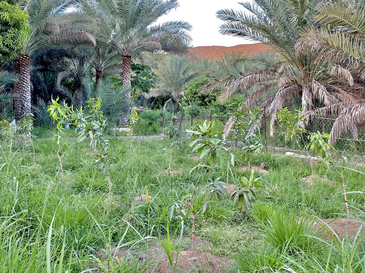 batsh1984 tweet media